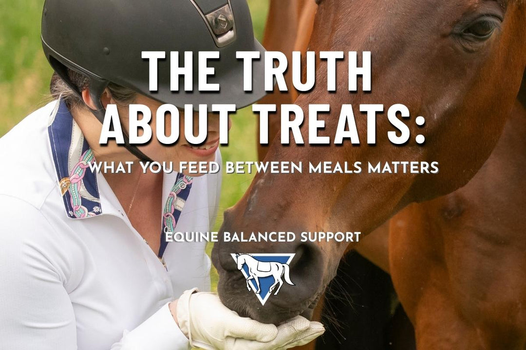 The Truth About Treats: What You Feed Between Meals Matters