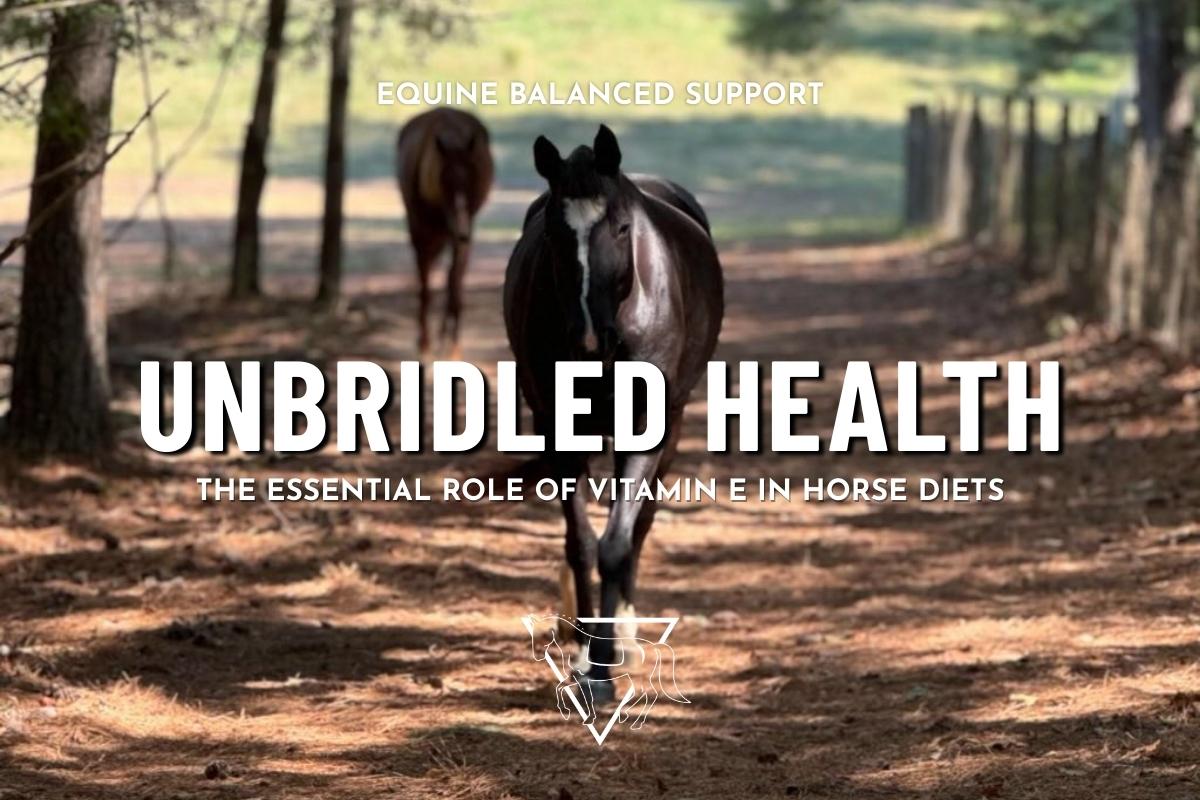 Unbridled Health: Elevating Your Horse's Wellbeing with Vitamin E