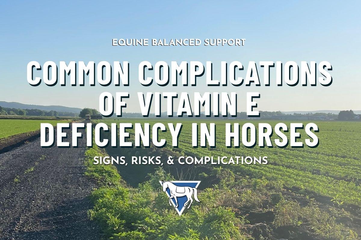 Common Complications of Vitamin E Deficiency in Horses