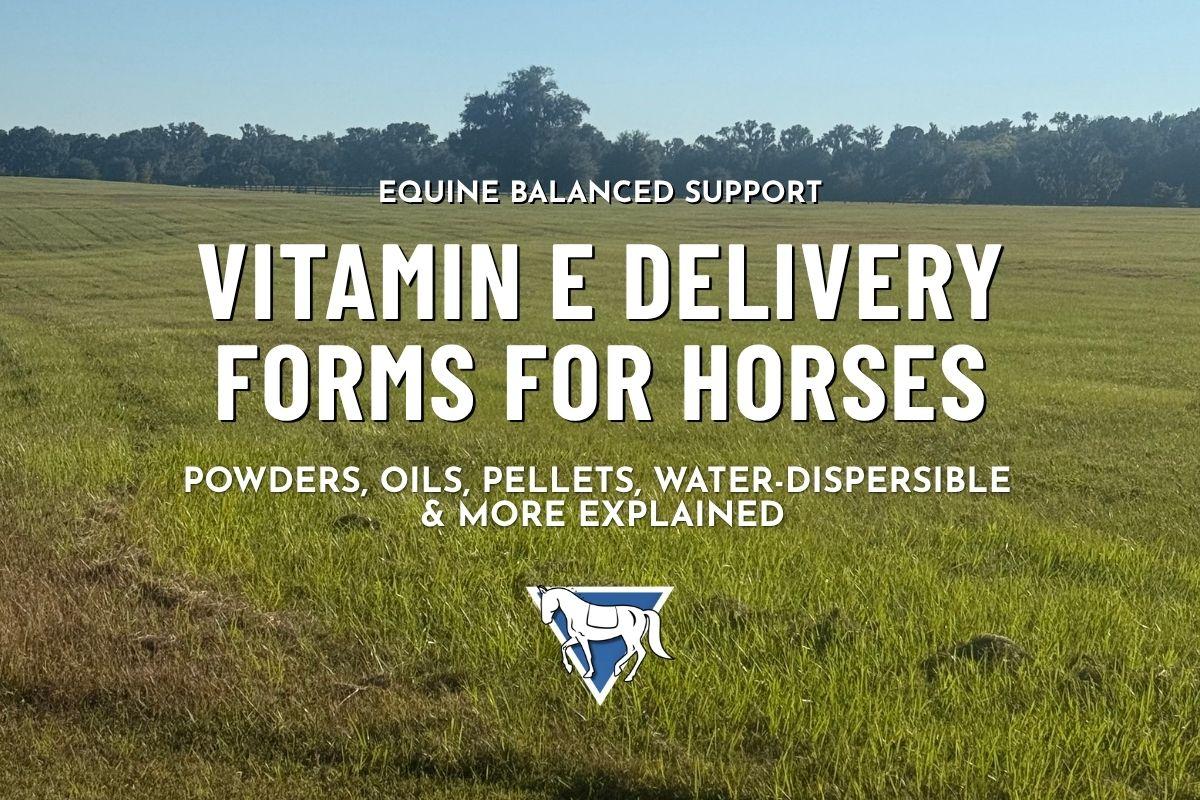 Vitamin E Delivery Forms for Horses: Powders, Oils, Pellets, Water-Dispersible & More