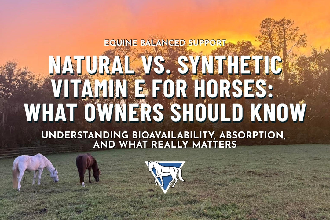 Natural vs. Synthetic Vitamin E for Horses: What Owners Should Know