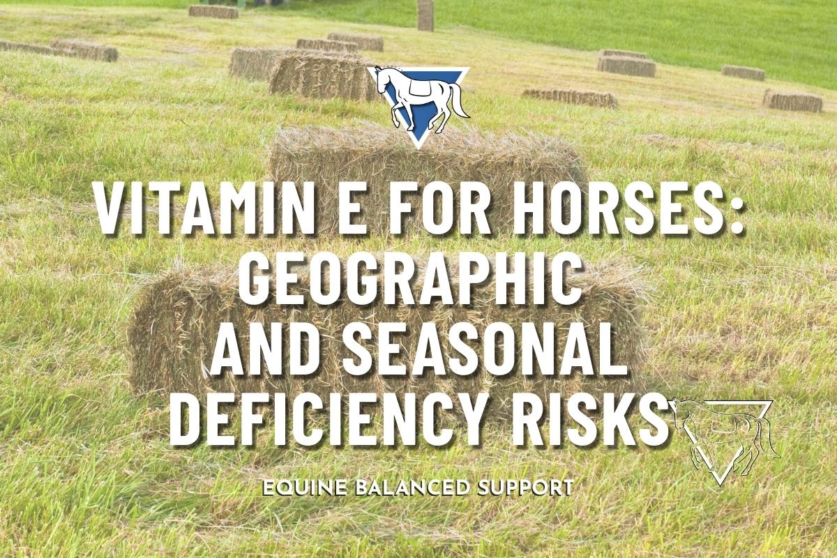 Vitamin E for Horses: Geographic and Seasonal Deficiency Risks