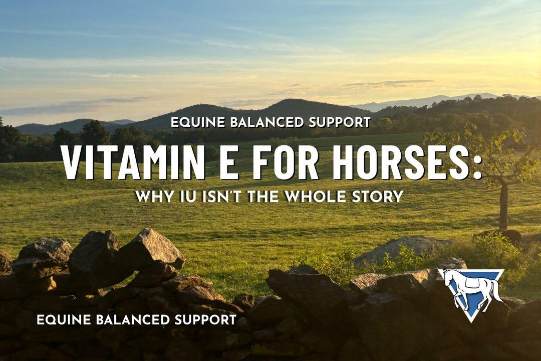 Vitamin E for Horses: Why IU Isn’t the Whole Story
