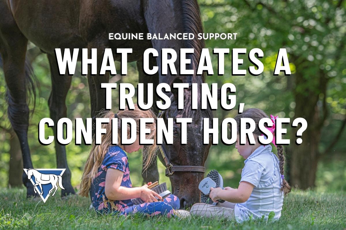 Understanding Dopamine and Calm Training in Horses