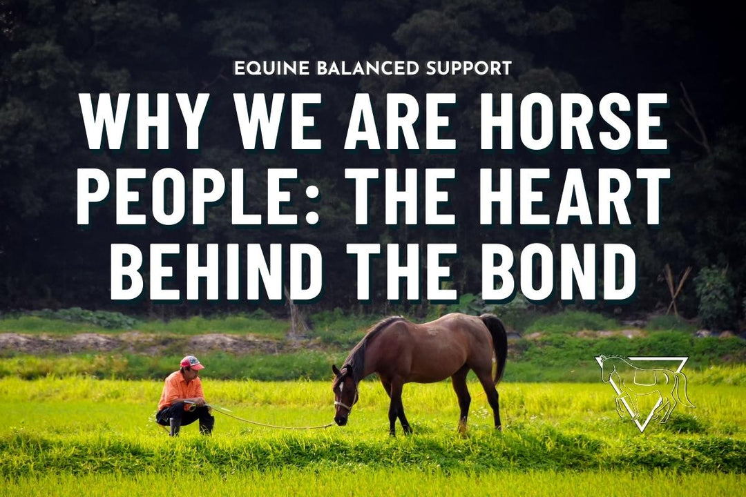 Why We Are Horse People: If You Know, You Know