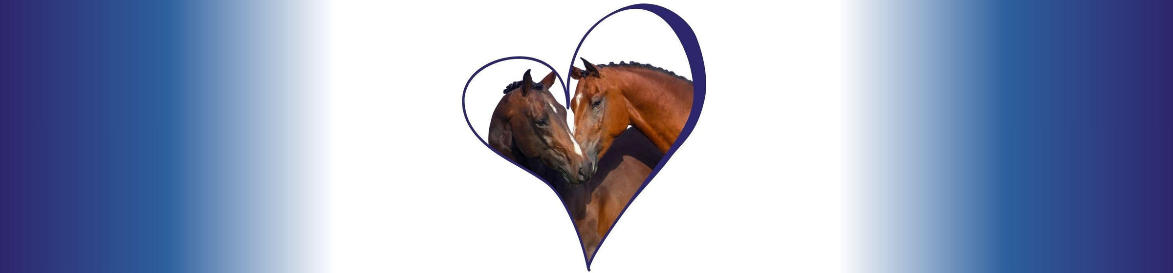 Natural Calming and Hormonal Balance Supplements for horses experiencing stress and anxiety.