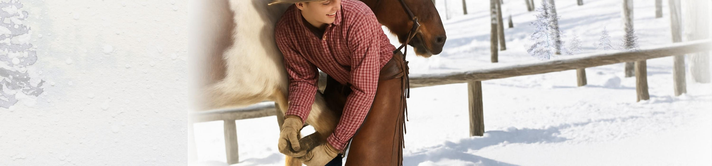 Strong and healthy horse hooves with our Hoof Health Supplements containing biotin and minerals.