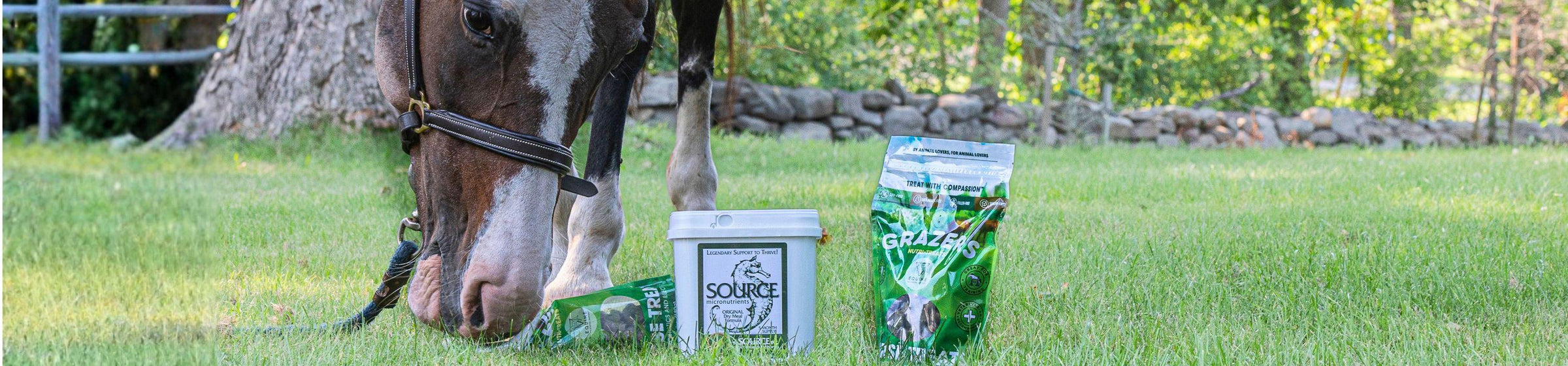 Poppet the Horse with her favorite products