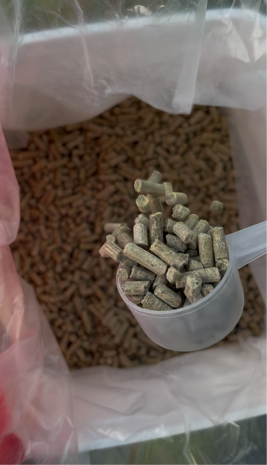 MVP Flies-A-Way (Pellet)