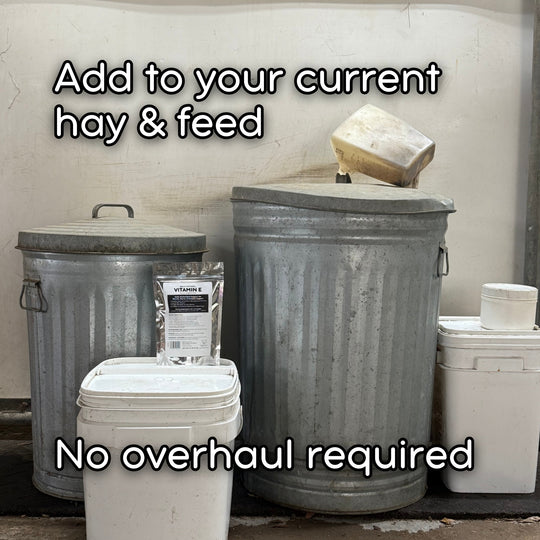 Foundation Support Bundle