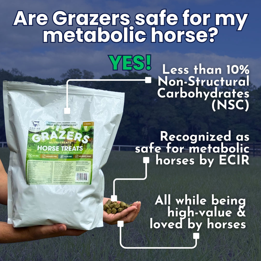 Grazers horse treats packaging with text about safety for metabolic horses