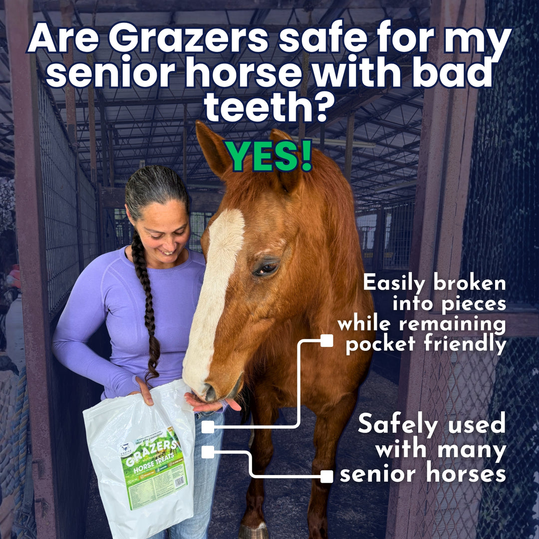 Woman with a horse in a stable, discussing the safety of grazers for senior horses with bad teeth.