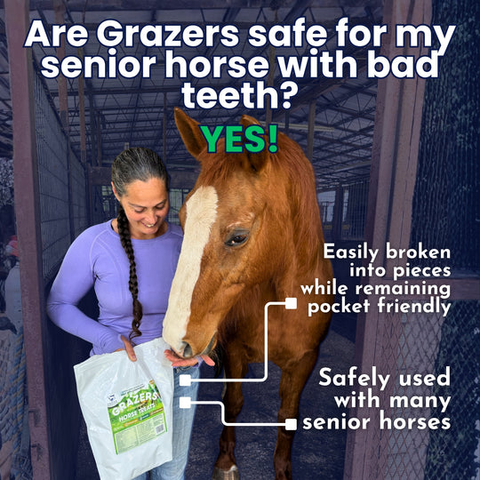 Woman with a horse in a stable, discussing the safety of grazers for senior horses with bad teeth.