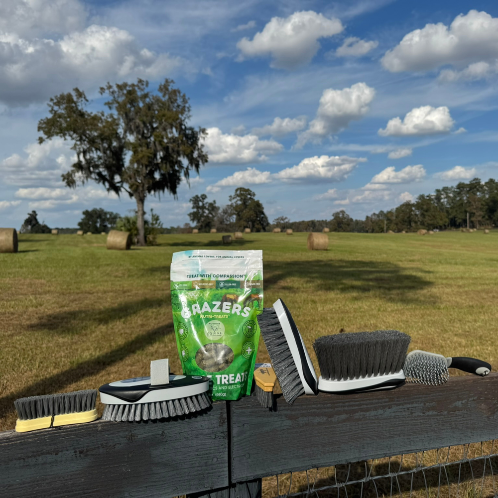 Holiday Bundle: Daily Bonding Kit & Grazers