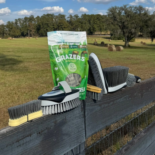 Holiday Bundle: Daily Bonding Kit & Grazers