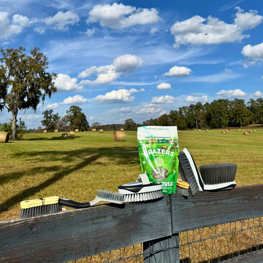 Holiday Bundle: Daily Bonding Kit & Grazers