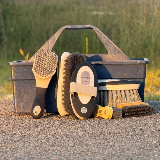 Set of horse grooming brushes with a black toolbox on a natural background