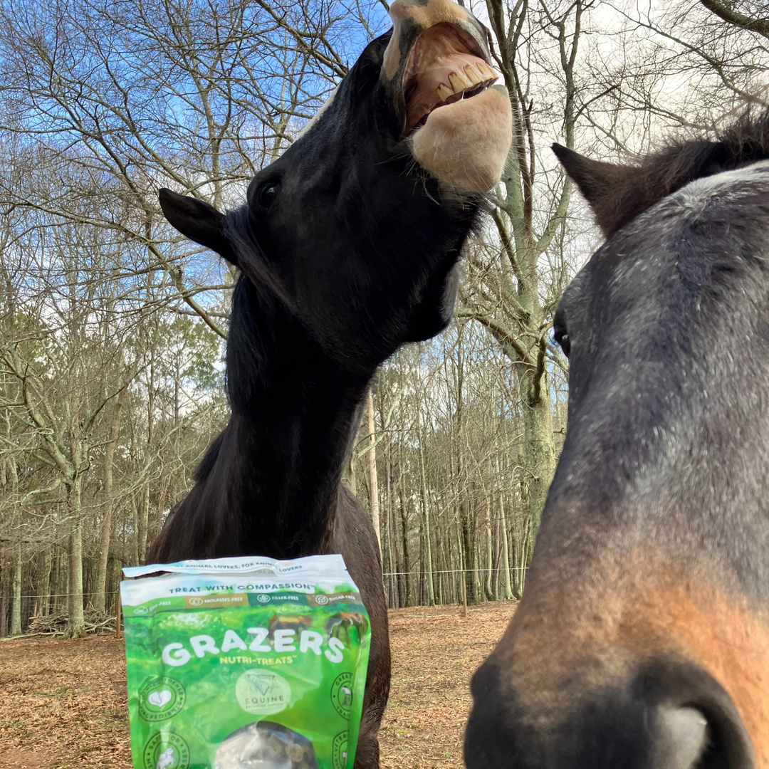 Grazers Nutri-Treats