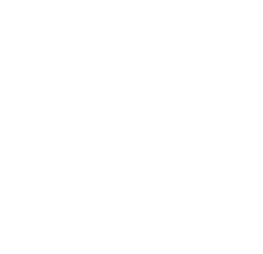 Equine Balanced Support