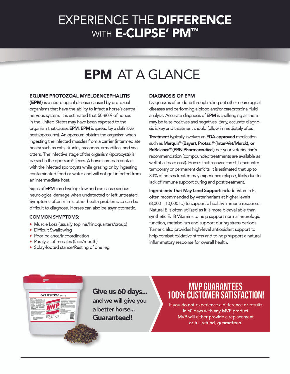 EPM Information for horse owners