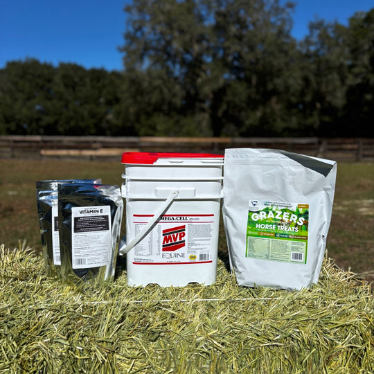 Foundation Support Bundle