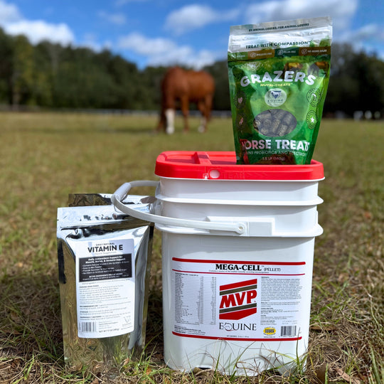 Foundation Support Bundle