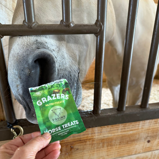 Grazers Nutri-Treats - Forage-Based, Healthy Horse Treats