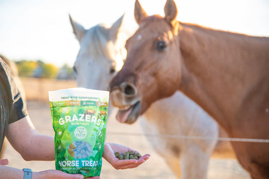 Grazers Nutri-Treats - Equine Balanced Support