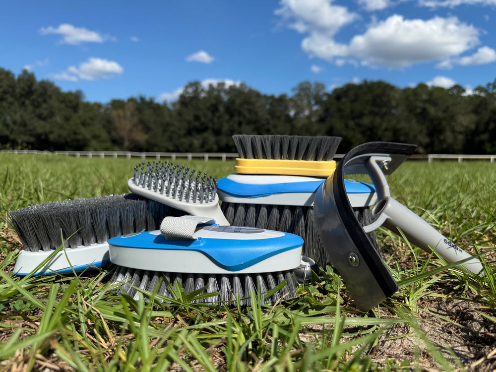 Set of Brushes to Build a Stronger Bond with Your Horse