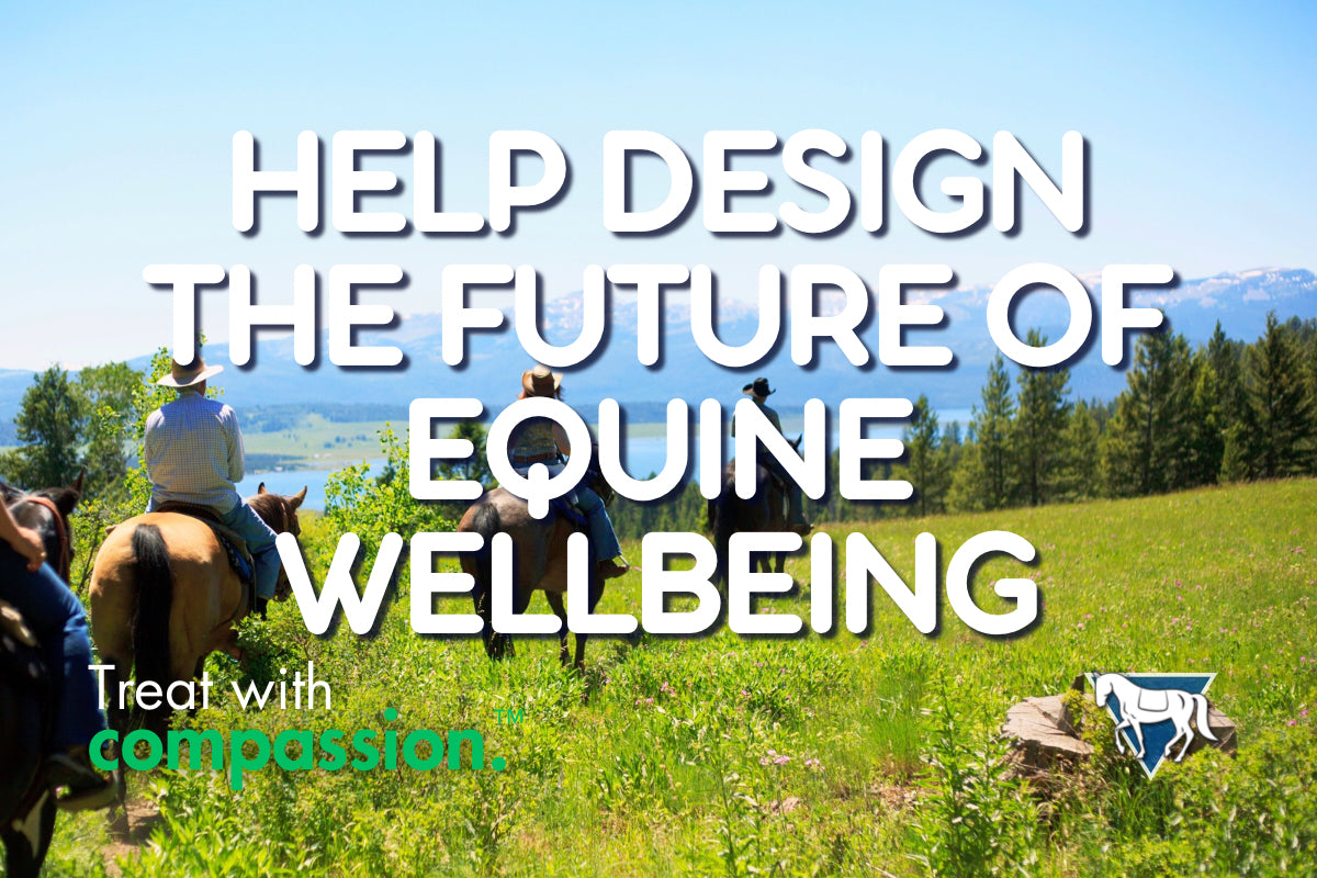 Survey request for horse wellbeing research and development