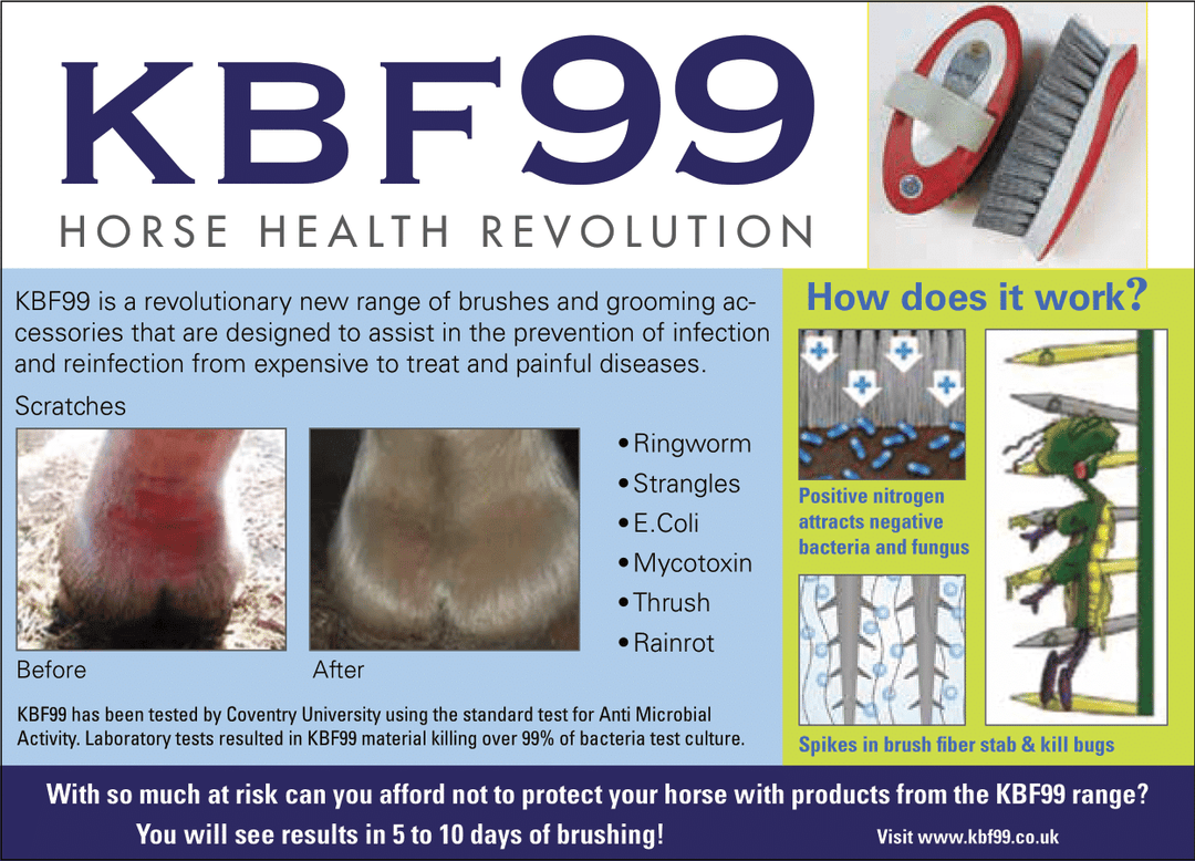 Build a Daily Bonding Kit – Antimicrobial Grooming Brushes