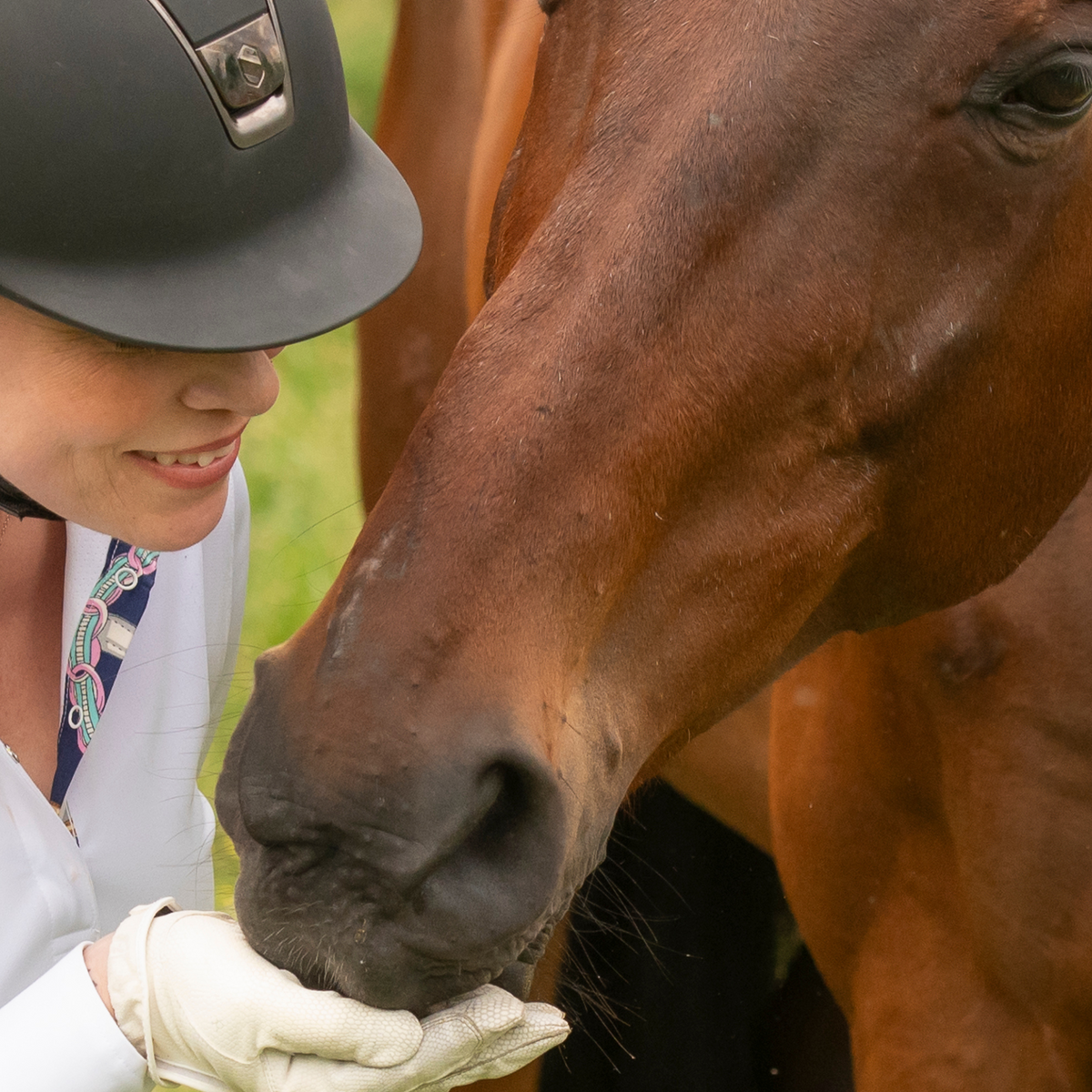 Equine Balanced Support
