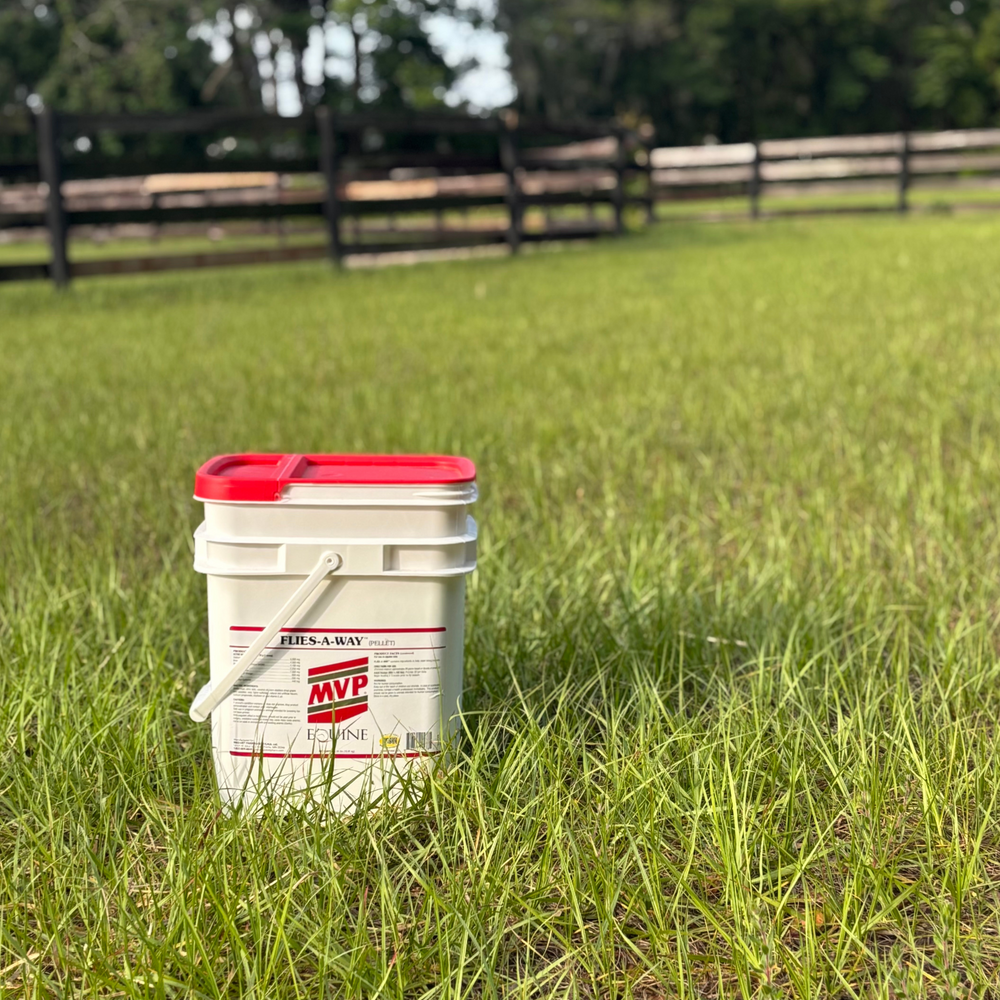 MVP Flies-A-Way Natural Horse Supplement for Fly Control in Pastures and Stalls