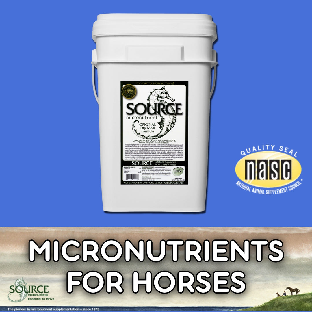 SOURCE Original (Powder Concentrate) - Trace Mineral Support for Horses