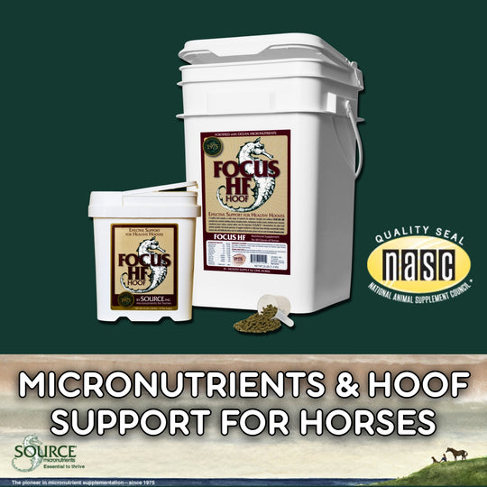 SOURCE Focus HF (Pellet) - Trace Minerals & Hoof Support Formula