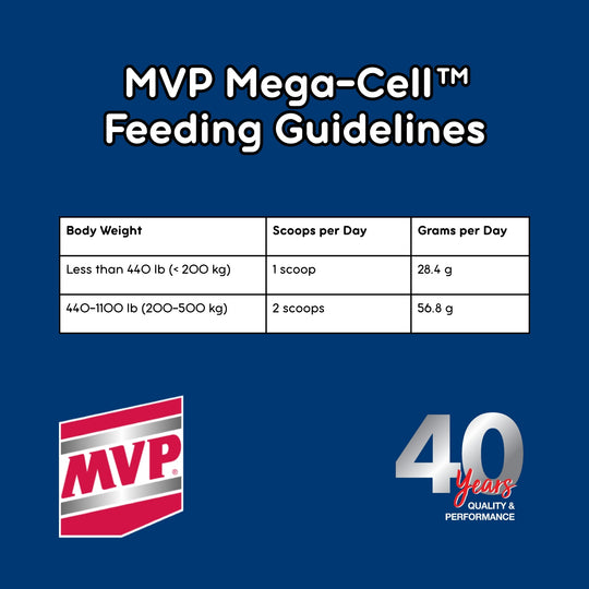 Foundation Support Bundle