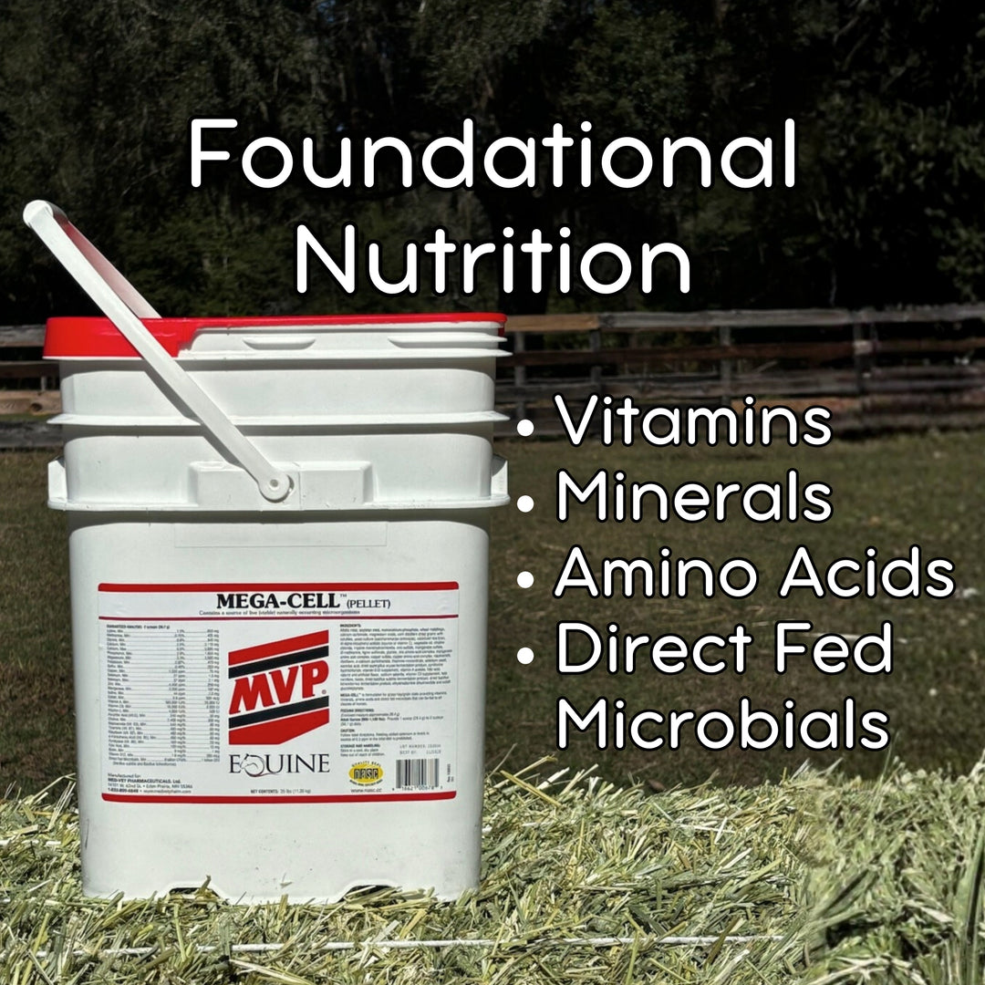 Foundation Support Bundle