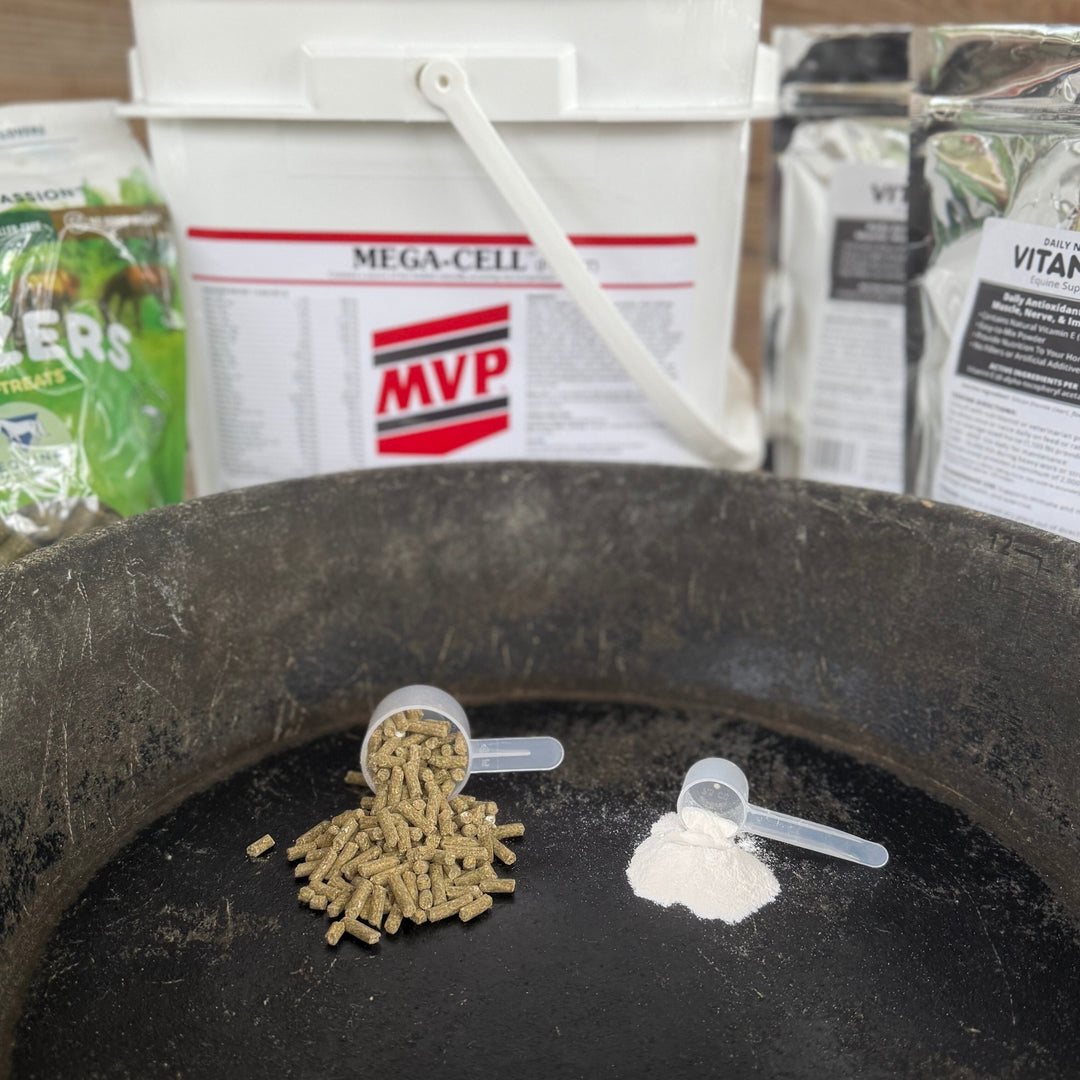 Foundation Support Bundle