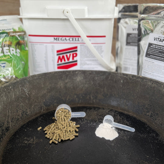 Foundation Support Bundle