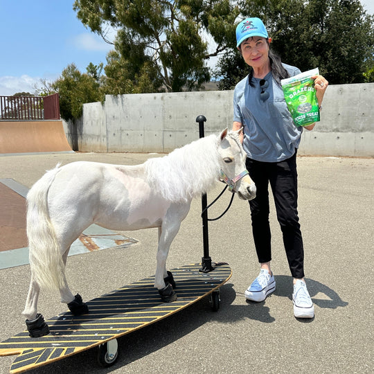 Grazers Nutri-Treats - Forage-Based, Healthy Horse Treats