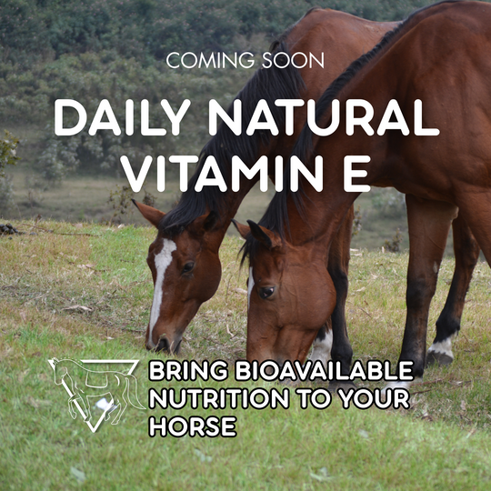 Equine Balanced Support Daily Natural Vitamin E AVAILABLE SOON