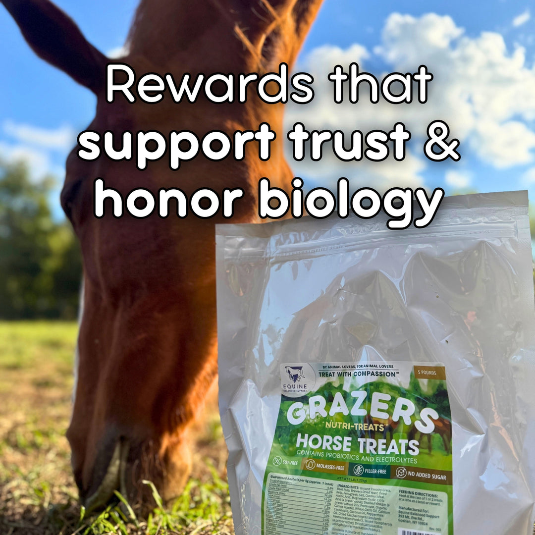 Foundation Support Bundle