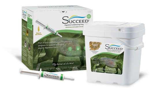 SUCCEED Digestive Conditioning Program (DCP) powder and oral tubes for horses. Comprehensive Digestive Health Support for Horses by Freedom Health