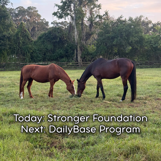 Foundation Support Bundle