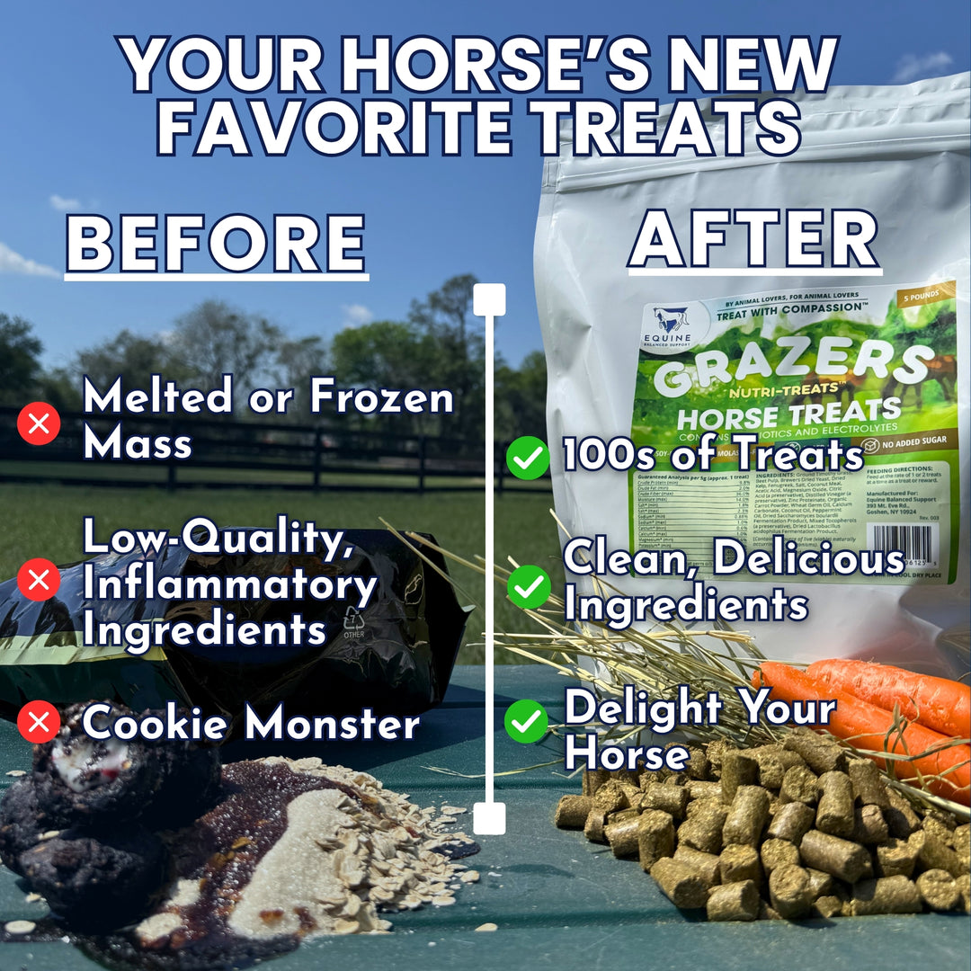 Comparison of horse treats labeled &