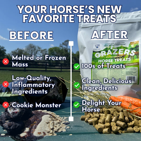 Comparison of horse treats labeled &