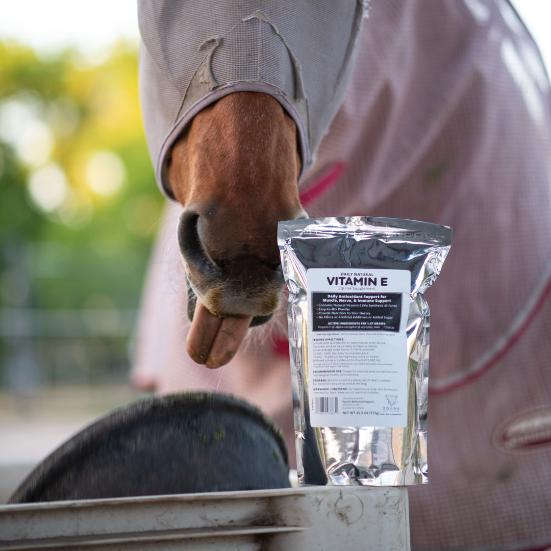 Horse wearing a fly mask with a package of Vitamin E powder in the foreground