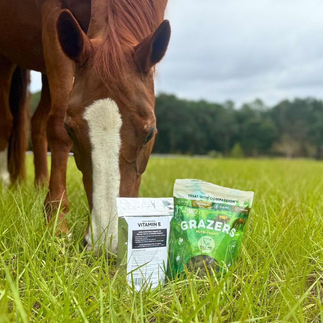 Daily Natural Vitamin E - High Bioavailability Antioxidant Support