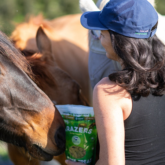 Person holding a bag of GRAZERS treats next to a horse outdoors