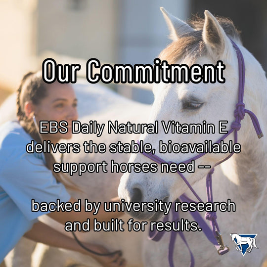 Daily Natural Vitamin E - High Bioavailability Antioxidant Support